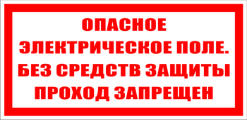 S13 опасное электрическое поле. без средств защиты проход запрещен (пластик, 200х100 мм) - Знаки безопасности - Знаки по электробезопасности - Магазин охраны труда Протекторшоп