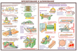 ПС09 Безопасность труда при деревообработке (бумага, А2, 5 листов) - Плакаты - Безопасность труда - Магазин охраны труда Протекторшоп